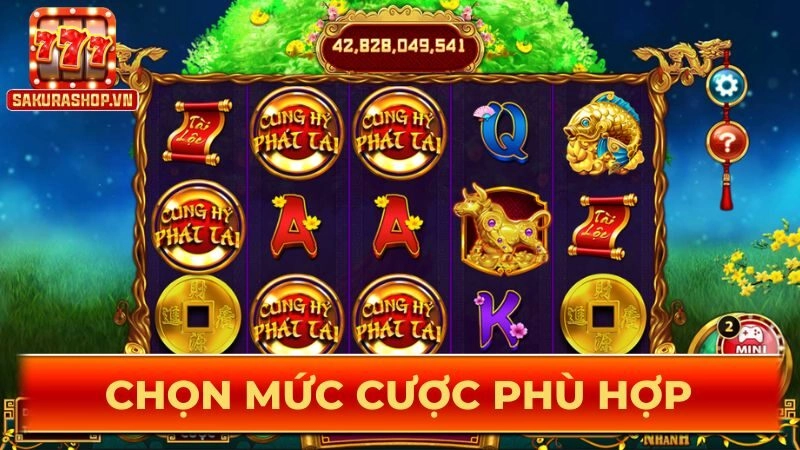 Chọn mức cược phù hợp